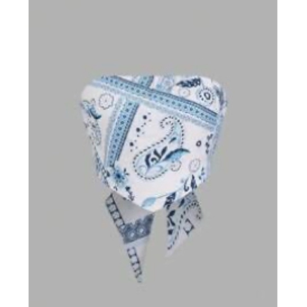 Blue and White Paisley Crop Top